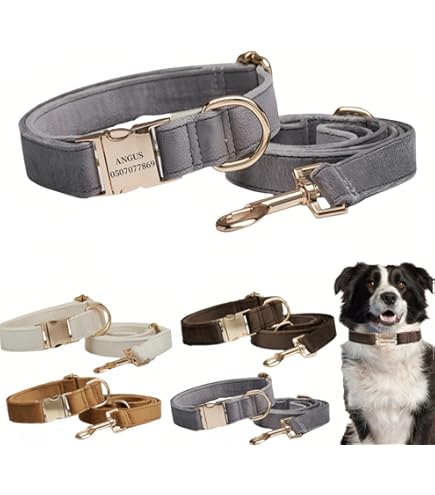 良品 ルイヴィトン 首輪 ドッグ・カラー 中型犬 ペット コリエバクスターMM 良品 ルイヴィトン 首輪 ドッグ・カラー 中型犬 ペット コリエ